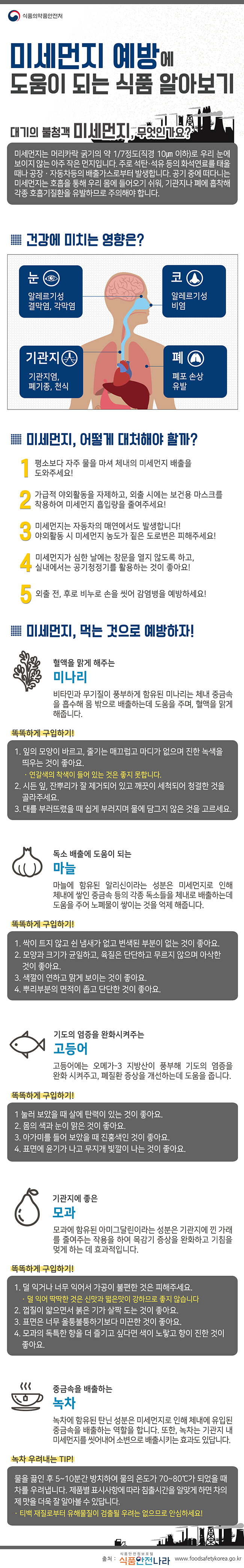 미세먼지 예방에 도움이 되는 식품 알아보기