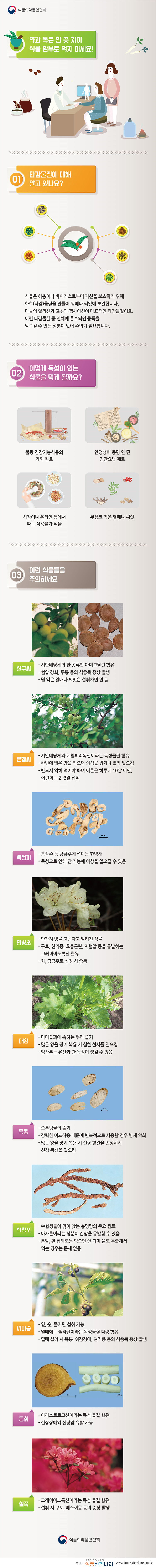 약과 독은 한 끗 차이 식물 함부로 먹지 마세요!